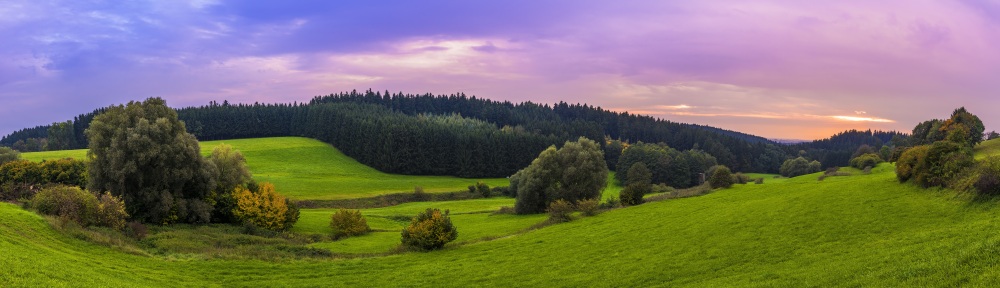 silence-panorama-trees-meadow-landscape